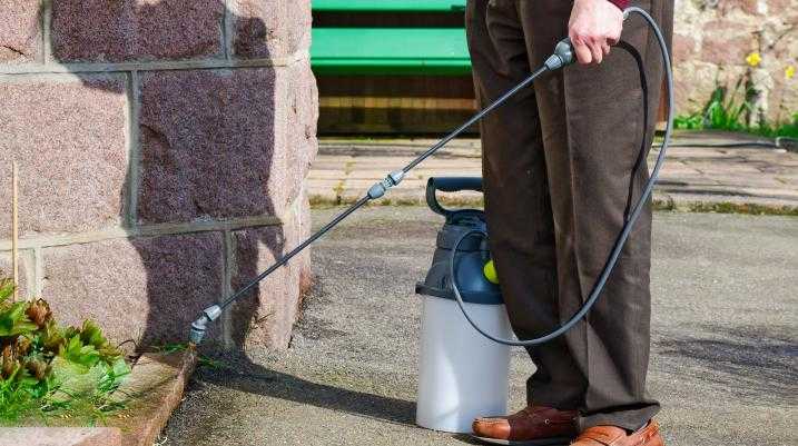 Man spraying weed killer
