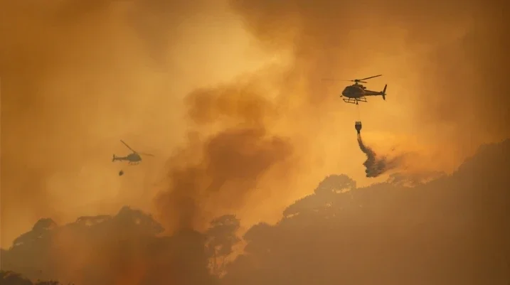 wildfire scene