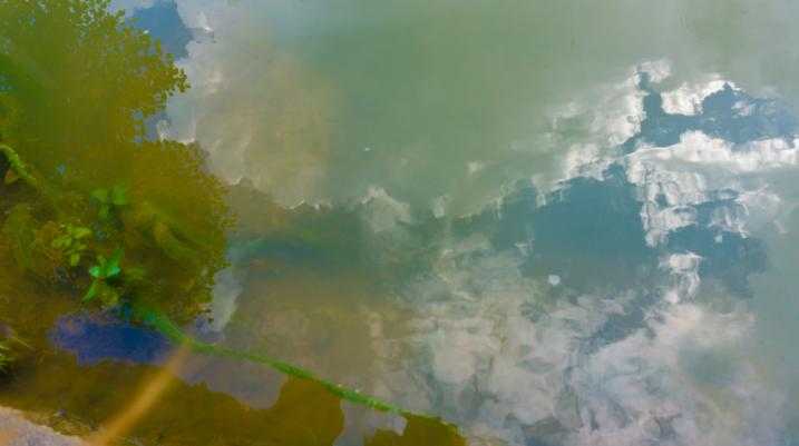 dirty water