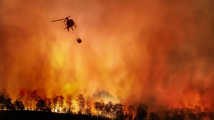 Wildfire