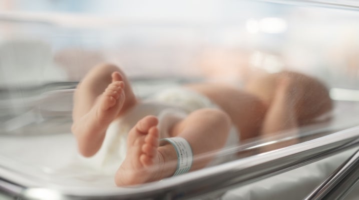 newborn baby