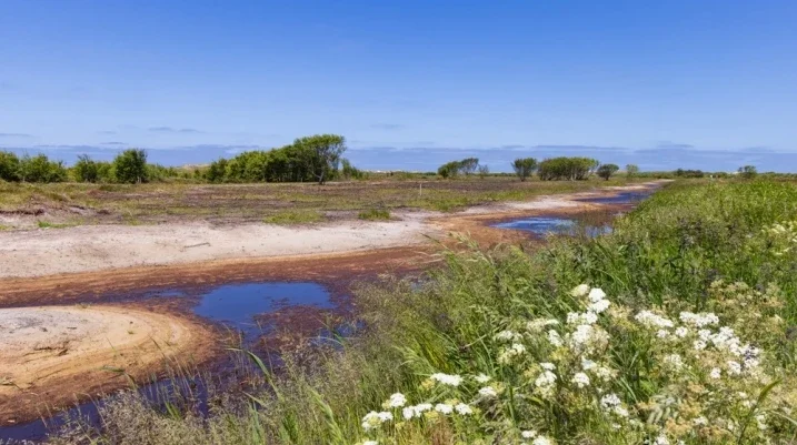 Groundwater