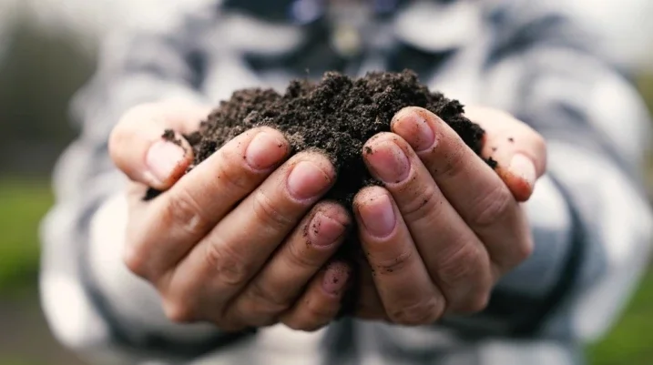 Man holding soil