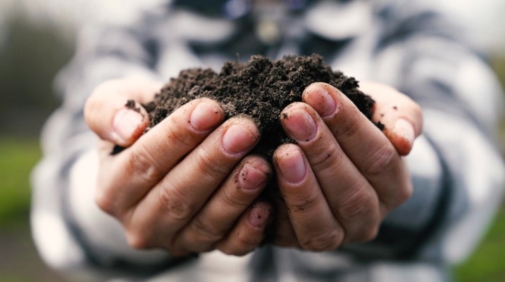 Man holding soil
