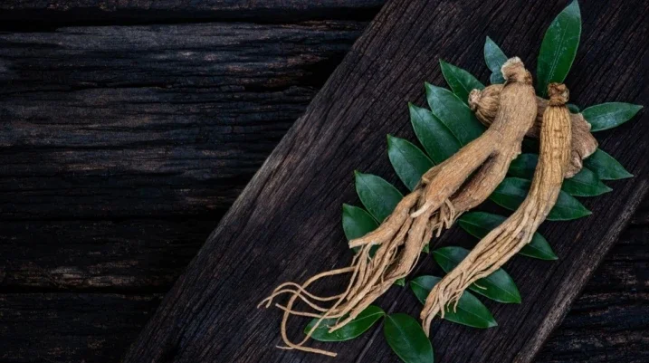 ginseng root