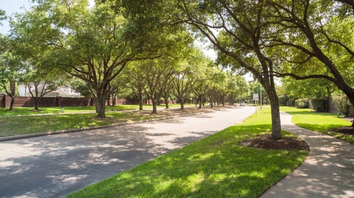 Trees in a neighborhood