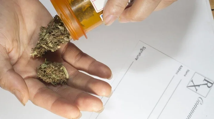 Morgan & Morgan Fights for Marijuana Legalization in Florida - A hand holding a marijuana