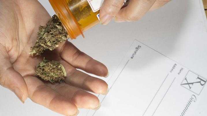Morgan & Morgan Fights for Marijuana Legalization in Florida - A hand holding a marijuana
