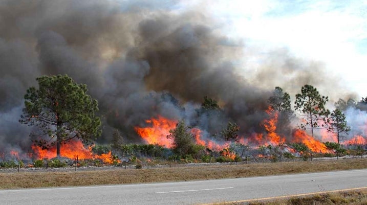 How Can St. Petersburg Residents Protect Their Property During Wildfire Season? - Hurricane