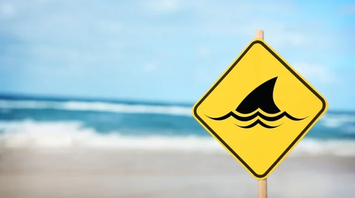 Shark Attack Myths