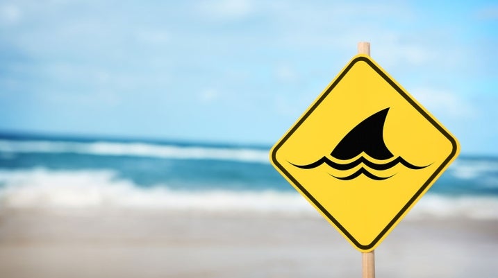 Shark Attack Myths
