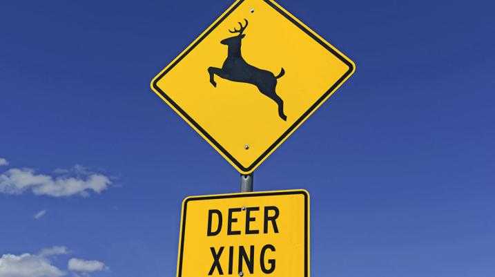 Memphis Drivers: How To Avoid Hitting A Deer In the Roadway - Avoid Hitting A Deer Signage