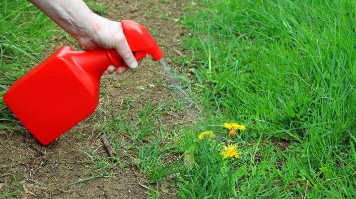 roundup-weedkiller-lawsuit-verdicts