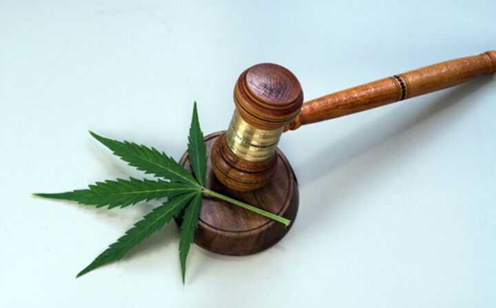 What Is the History of Marijuana Legalization in the United States - morgan and morgan