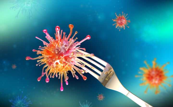 Norovirus food poisoning lawyer - bacteria