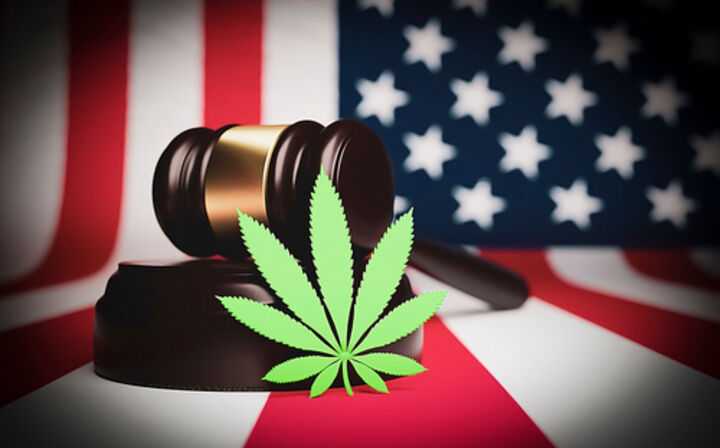 In How Many States Is Weed Legal - weed with american flag