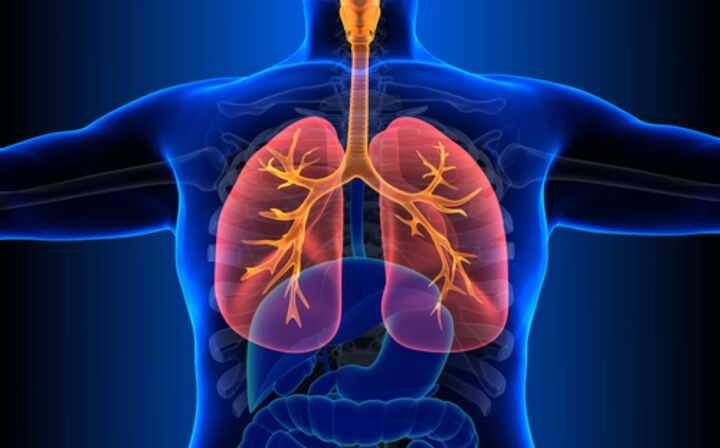 Identifying Who Is at Risk for Mesothelioma - mesothelioma in the lungs