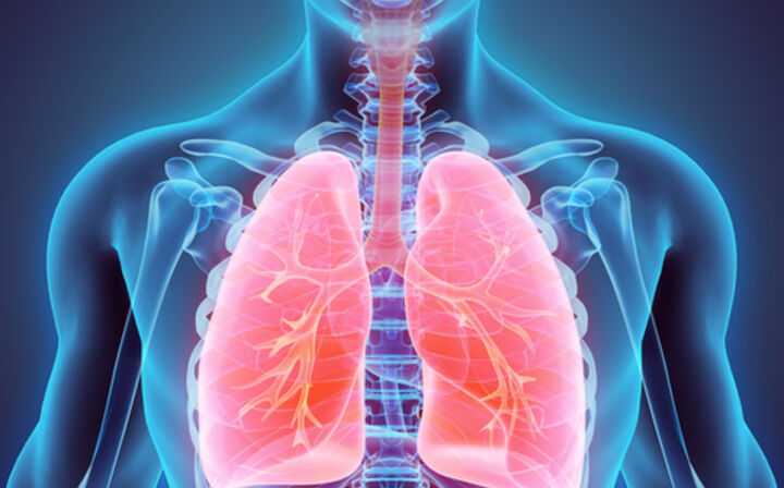 What Causes Mesothelioma? How Can an Attorney Help - lung scan