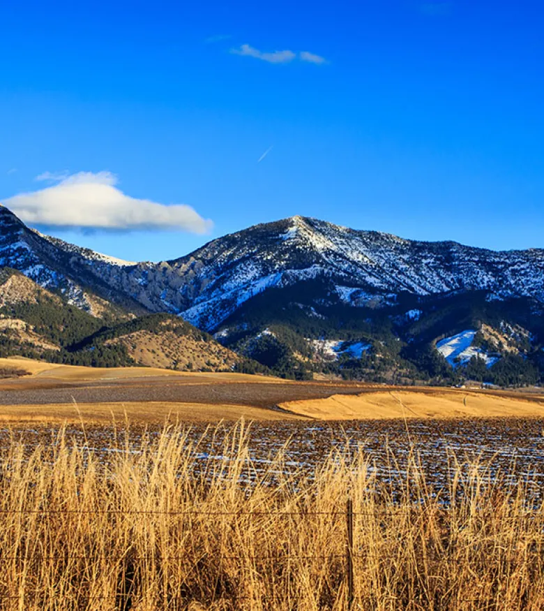 Mountain landscape view