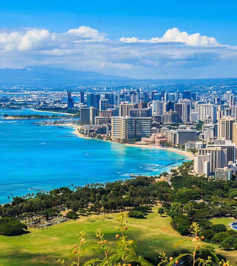 Panoramic view of Honolulu skyline and blue ocean from a lush hillside, a prime market for personal injury lawyers.