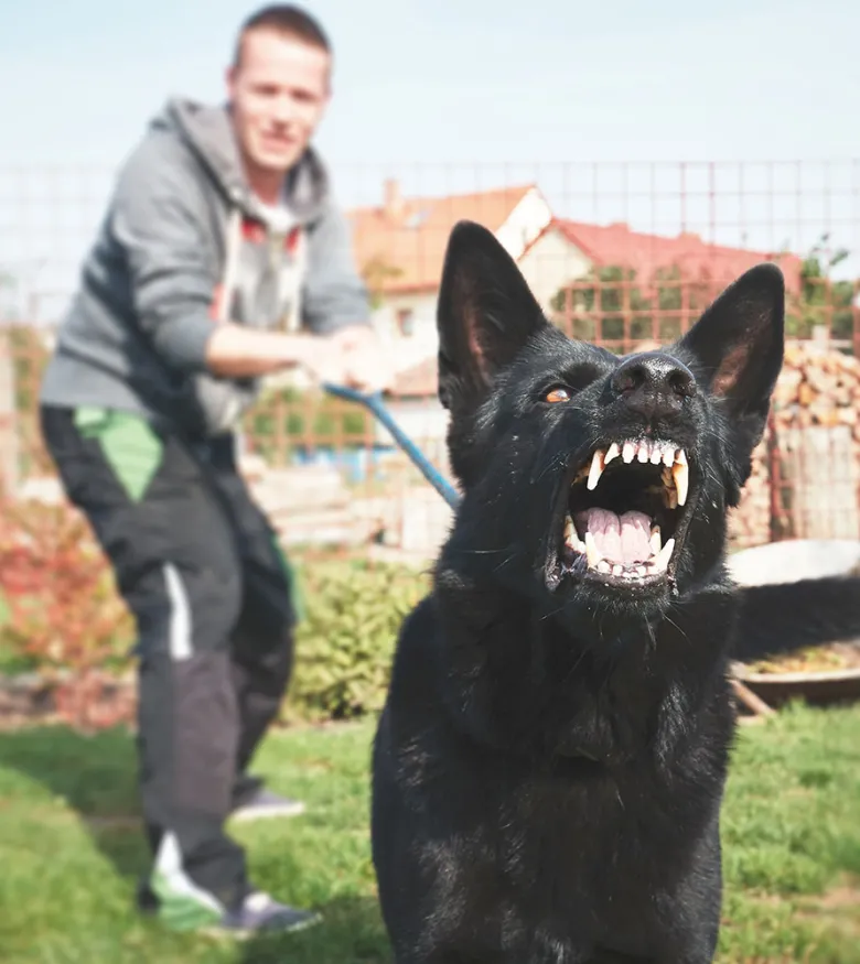 Dog Bite Claim Lawyers in Houston, TX - man with Angry Dog