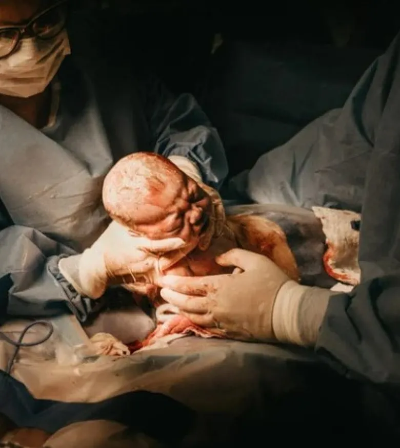 Birth Injury Lawyers in Palm Harbor, FL