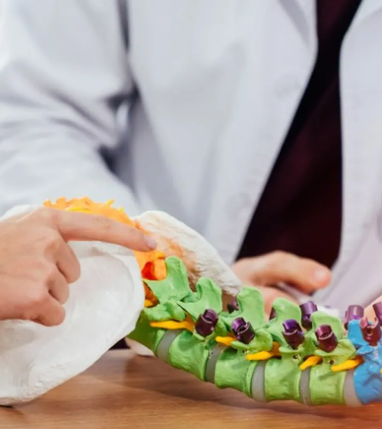 Gainesville, Florida Spinal Cord Injuries