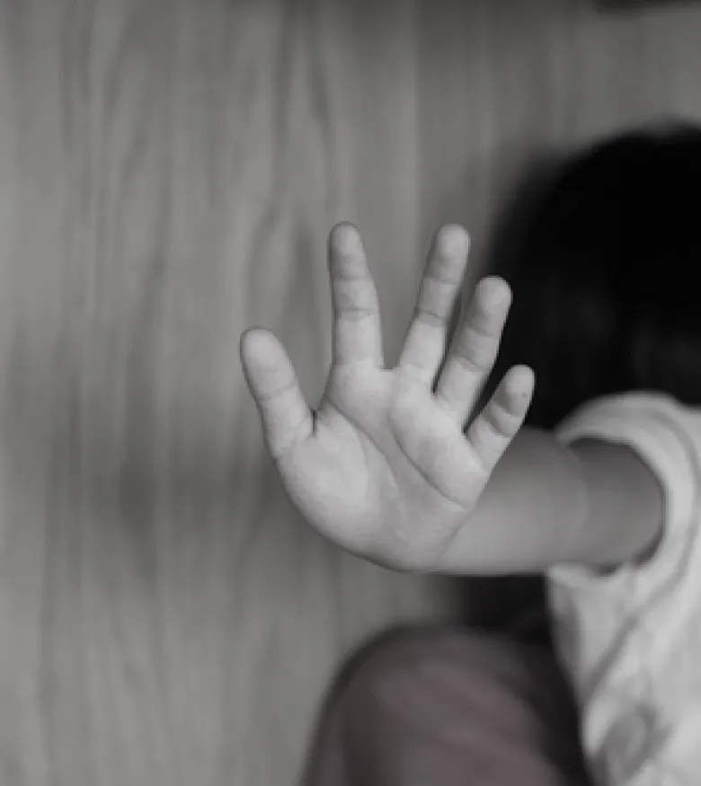 Child Sex Abuse Attorney in Palm Harbor, FL