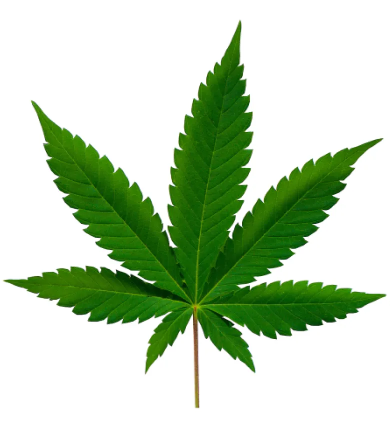 Is Weed Legal in New York?