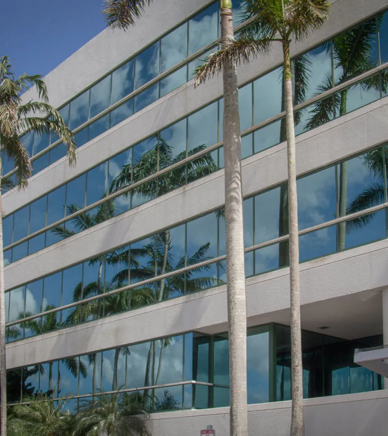 Palm trees, office