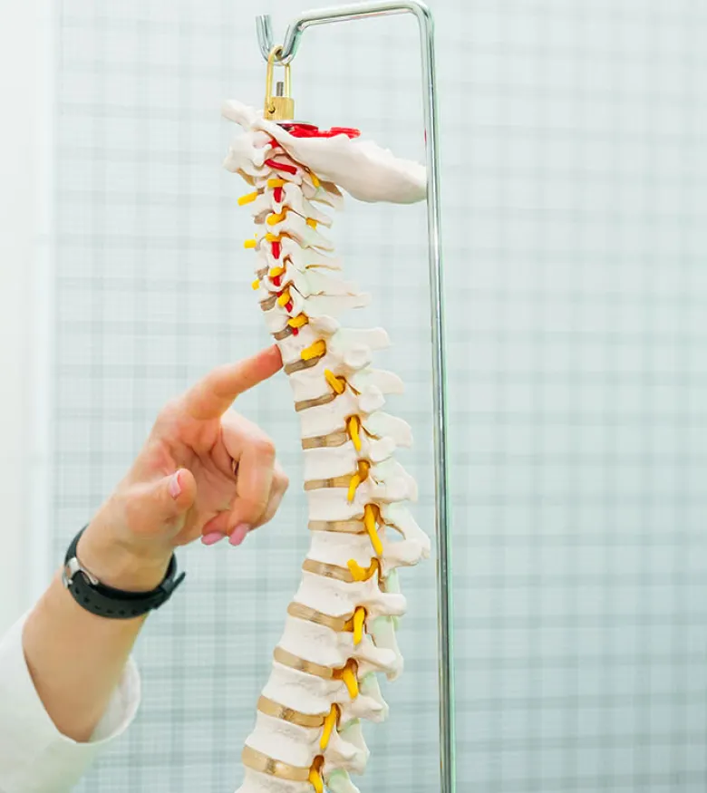 Jacksonville Spinal Cord Injury Attorneys - Spine injury