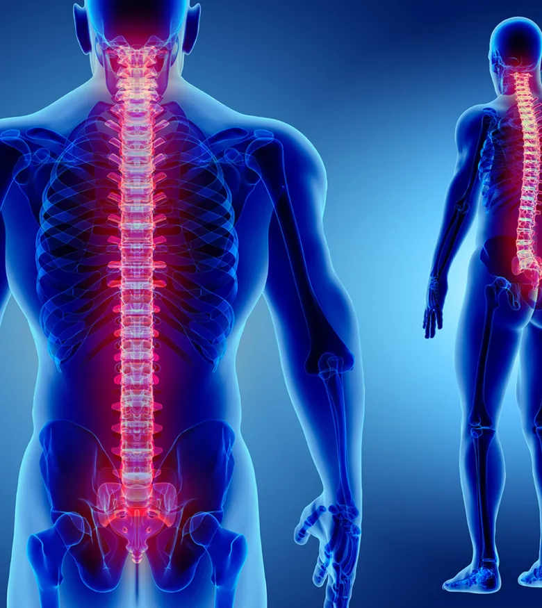 Person with spine highlighted