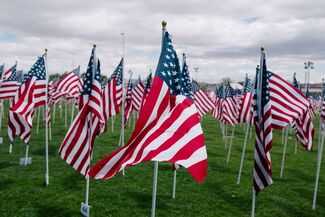 Veterans Disability Lawyers Alpharetta, GA - American flags for veterans