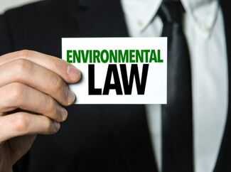 Environmental Lawyers in Palm Harbor, FL