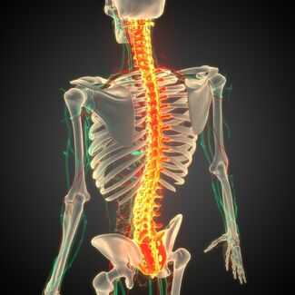 Spinal Cord Injury Lawyers in Big Pine Key, FL