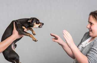 Birmingham Dog Bite Attorneys - Dog held up to scared woman