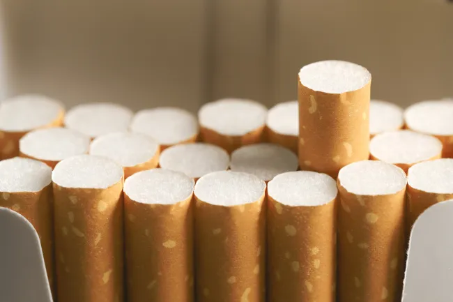 plastic cigarette filters for roll ups Amazon.com: Tarbust Slim Disposable Cigarette Filter Tips That Remove Tar  and Chemical, For Slim&Roll-ups, Bulk Economy (270 Filters+30 Adapters to  convert to Super Slim) : Health & Household