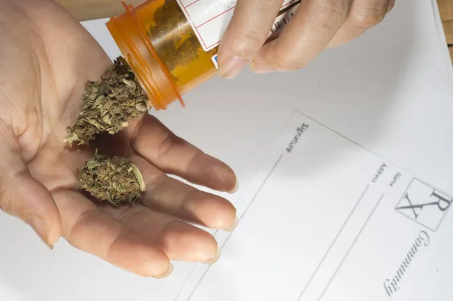 Morgan & Morgan Fights for Marijuana Legalization in Florida