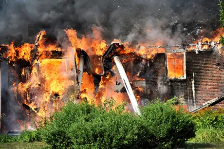 Media image.