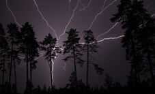 Lightning Damage Insurance Claim Lawyers - lightning