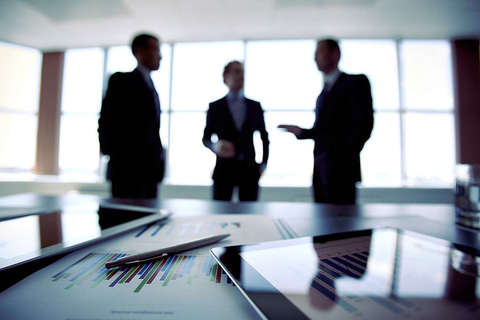 Shareholder & Partnership Disputes