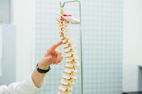 Spinal Cord Injuries