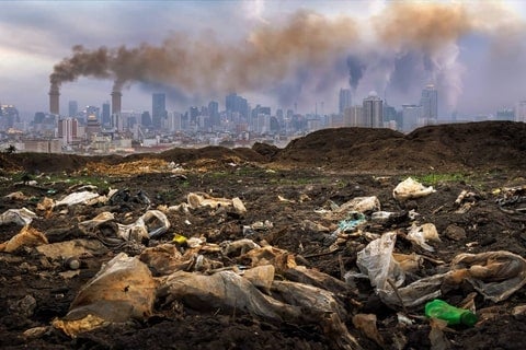 Toxics and Environmental