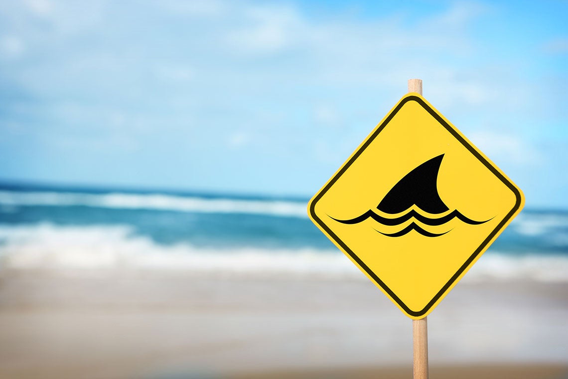 5 Shark Attack Myths Daytona Beach Swimmers Should Know